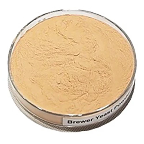 brewers yeast for health
